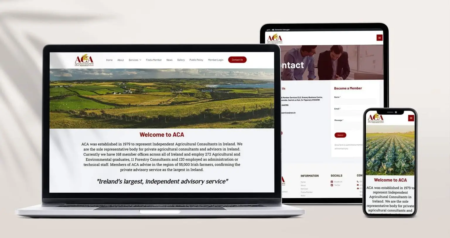 branding agencies ireland