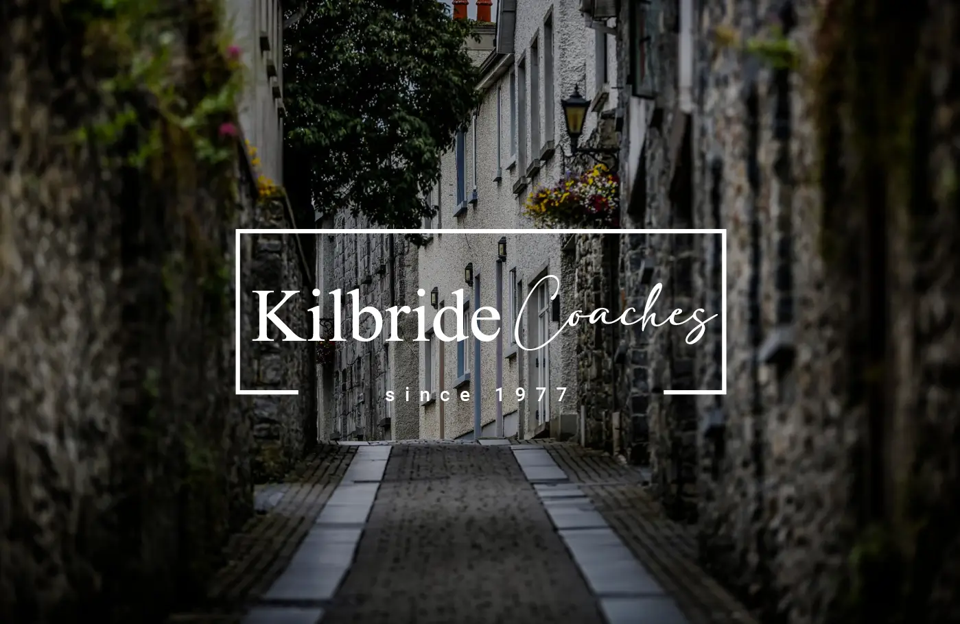 Branding Agency Ireland
